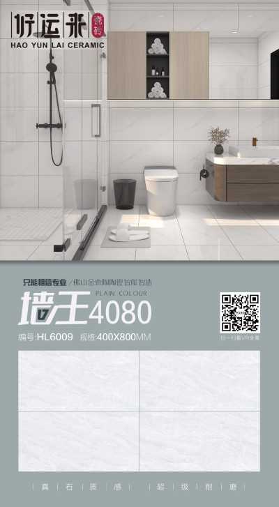 一一_HL6009 400X800MM.jpg